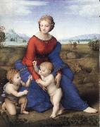 The Madonna in the Meadow Raphael