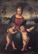The Madonna of the Goldfinch Raphael