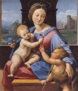 The Madonna and Child with teh Infant Baptist Raphael
