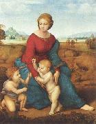 The Madonna of the Meadow Raphael