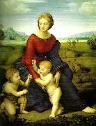 virgin and child with Raphael