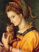Portrait de jeune femme tenant un chat BACCHIACCA
