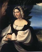 Portrait of a Gentlewoman Correggio