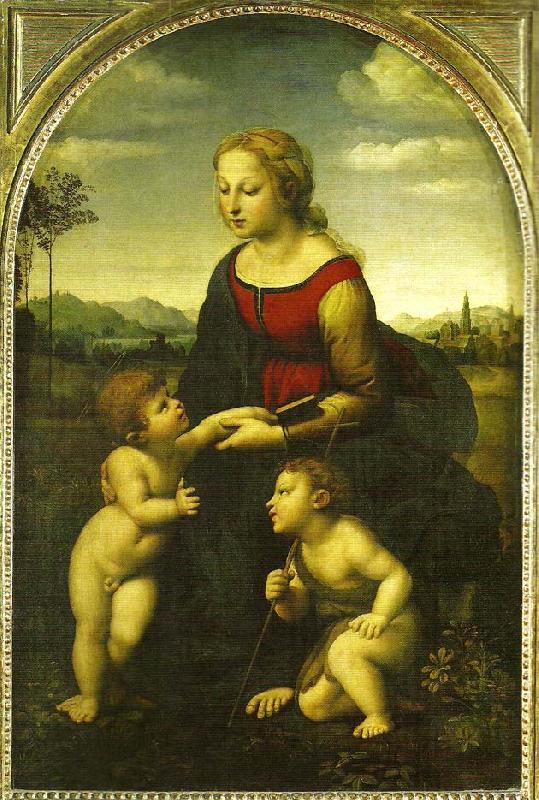 Raphael virgin and child wild st.